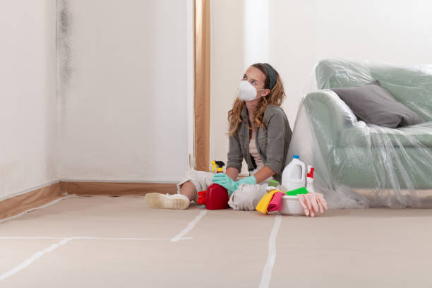 Reliable Black Mold Removal contractor in Glencoe, IL by WQB Mold Removal